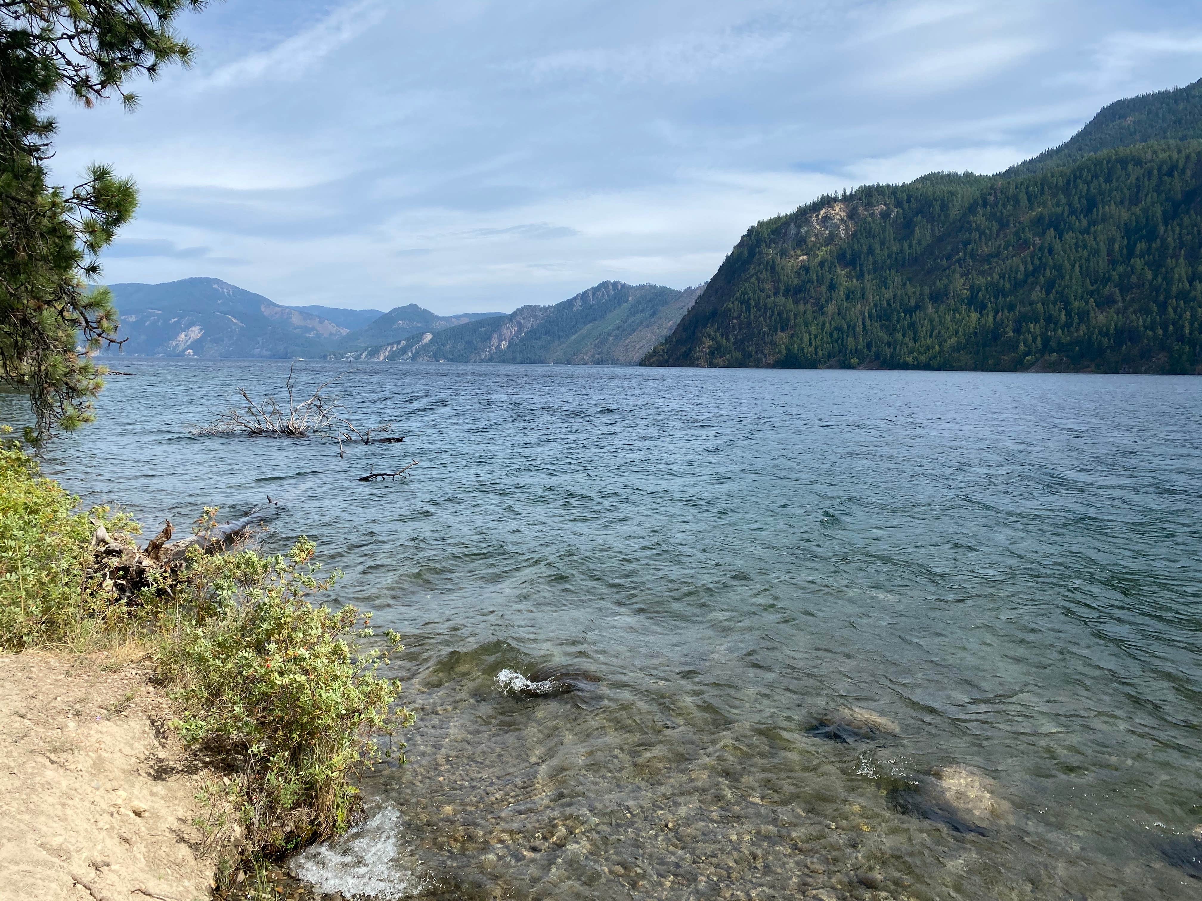 Camper-submitted photo at Snowberry Campground — Farragut State Park near Bayview, ID