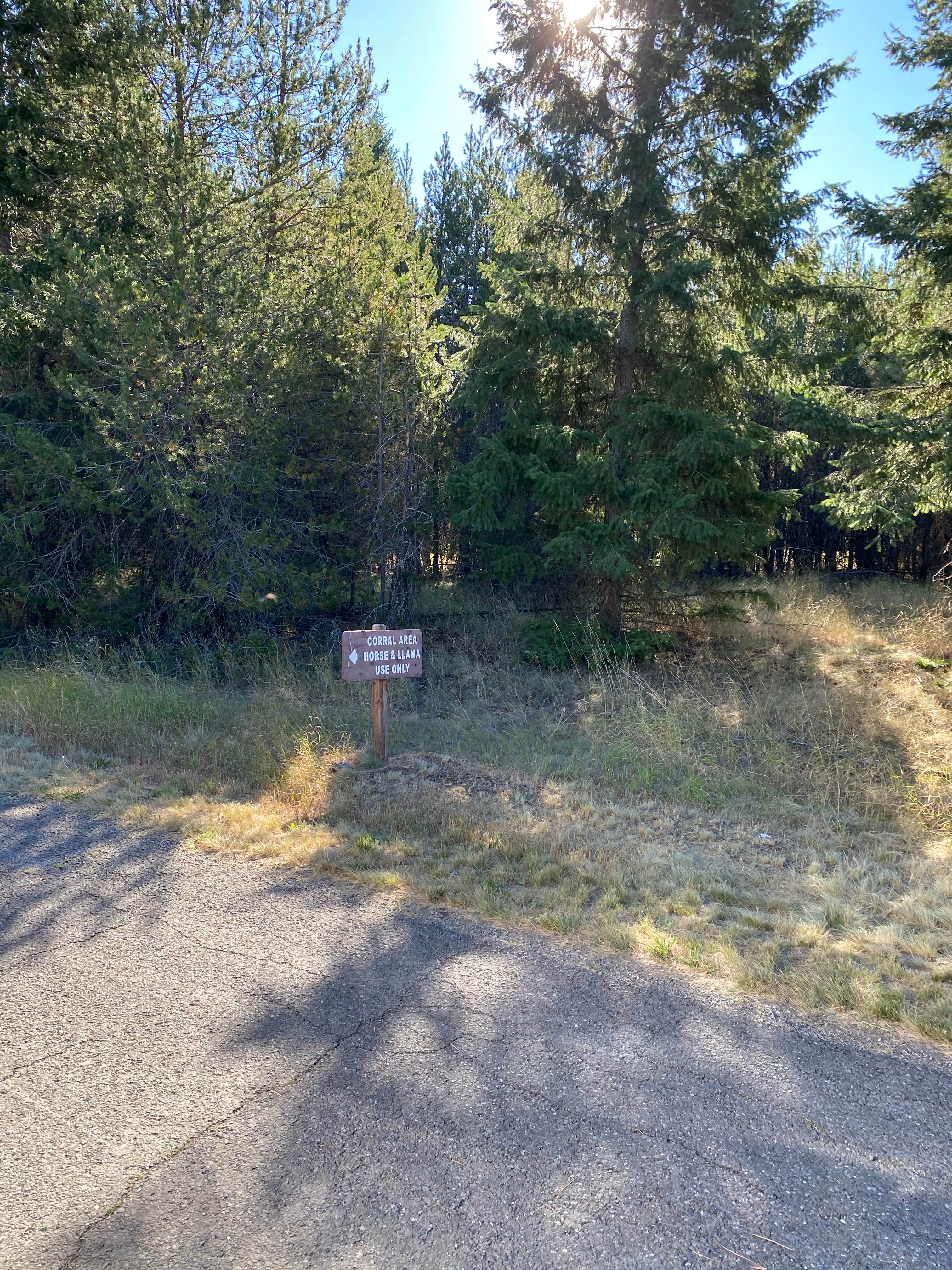 Camping near Silverwood RV Park: Snowberry Campground — Farragut State Park, Bayview, Idaho