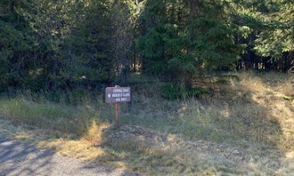 Camping near Gilmore Campground — Farragut State Park: Snowberry Campground — Farragut State Park, Bayview, Idaho