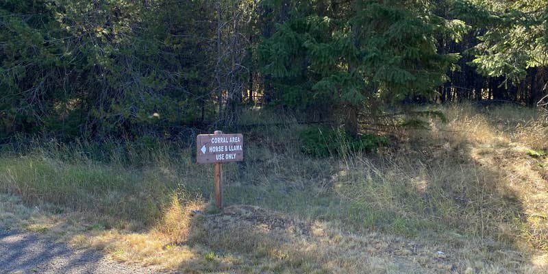 Camper submitted image from Snowberry Campground — Farragut State Park