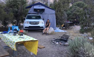 Dilsah T.'s photo at Grey Cliffs Campground — Great Basin National Park near Great Basin National Park