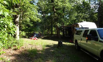 Dude R.'s photo at Hanks Creek near Angelina National Forest