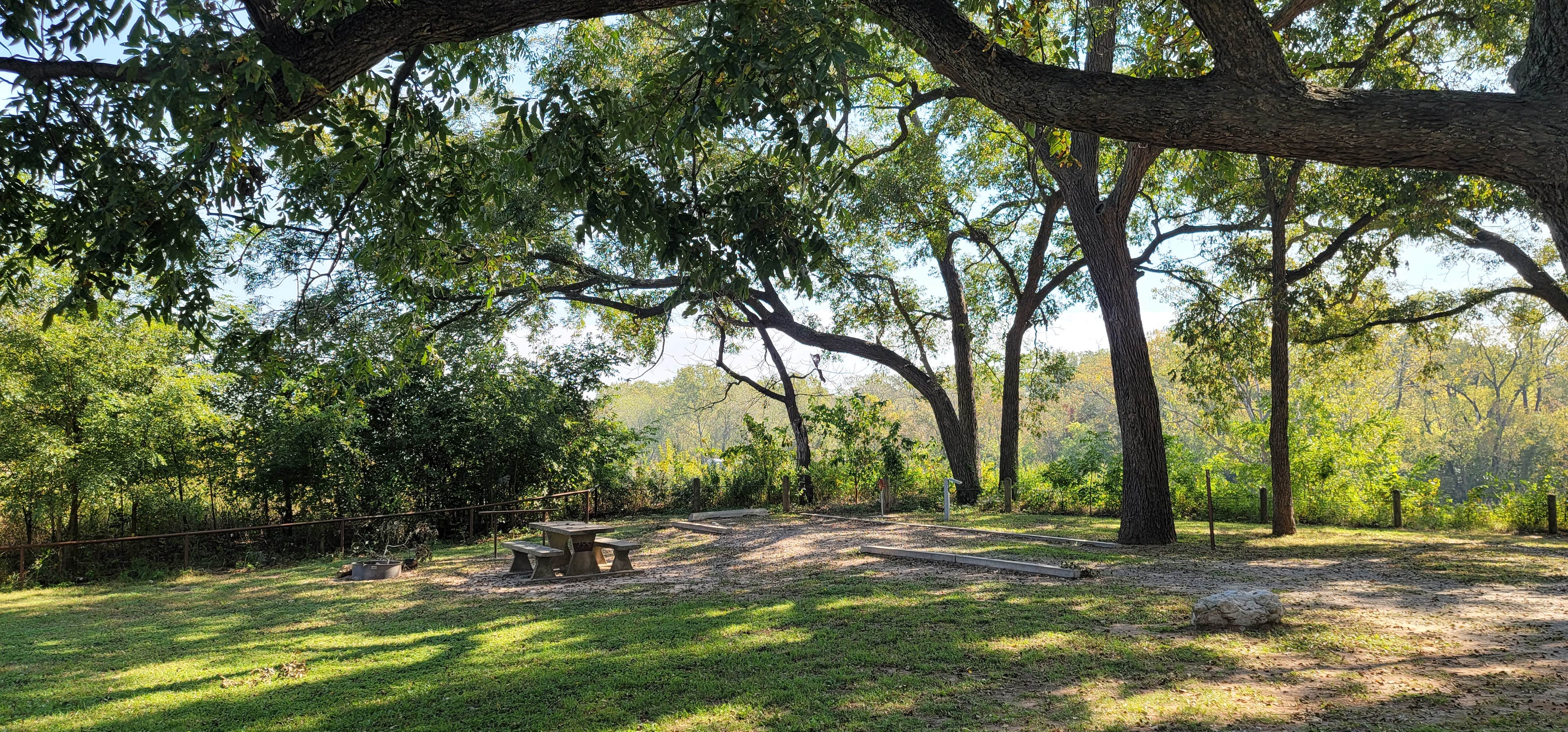 Camper submitted image from Damsite Texas — Lake Texoma - 2