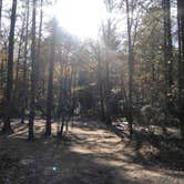 Review photo of Brown Mountain Roadside Campsites by Jay R., November 12, 2020