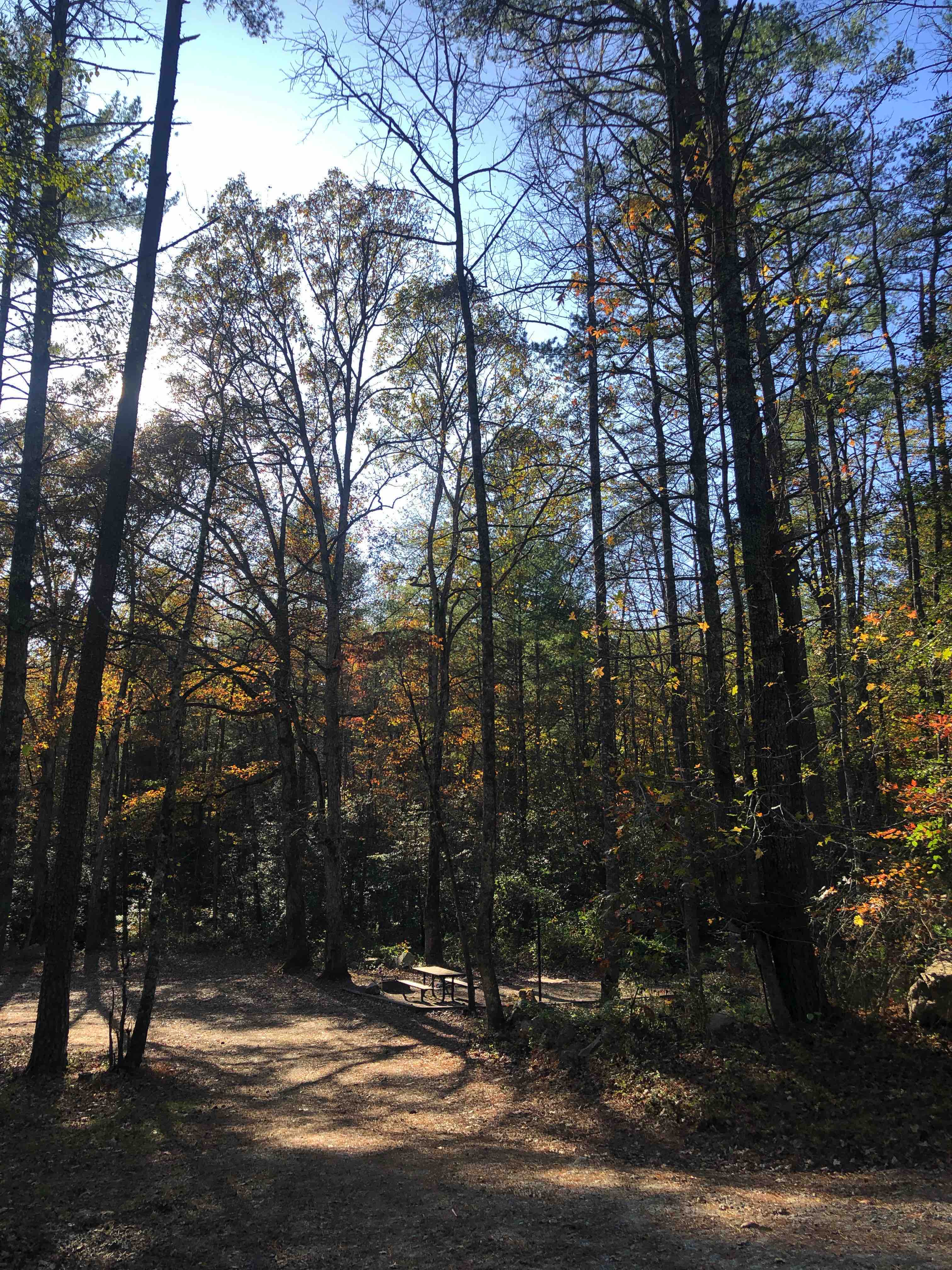Camper-submitted photo at Brown Mountain Roadside Campsites near Connelly Springs, NC