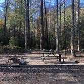 Review photo of Brown Mountain Roadside Campsites by Jay R., November 12, 2020