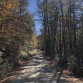 Review photo of Brown Mountain Roadside Campsites by Jay R., November 12, 2020