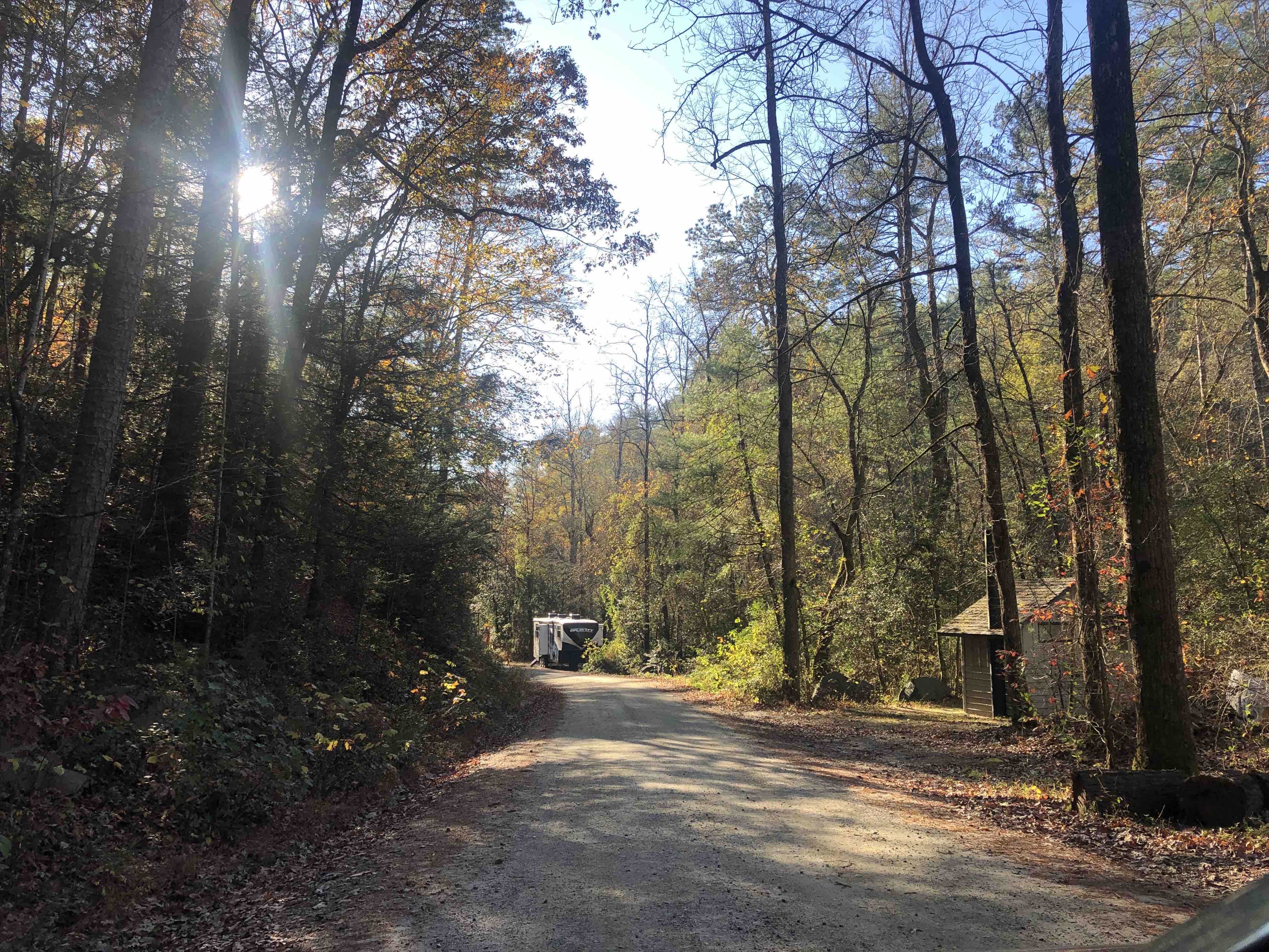 Camper-submitted photo at Brown Mountain Roadside Campsites near Connelly Springs, NC