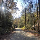 Review photo of Brown Mountain Roadside Campsites by Jay R., November 12, 2020