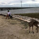 Review photo of Big Pine Key RV Resort by B M., November 12, 2020