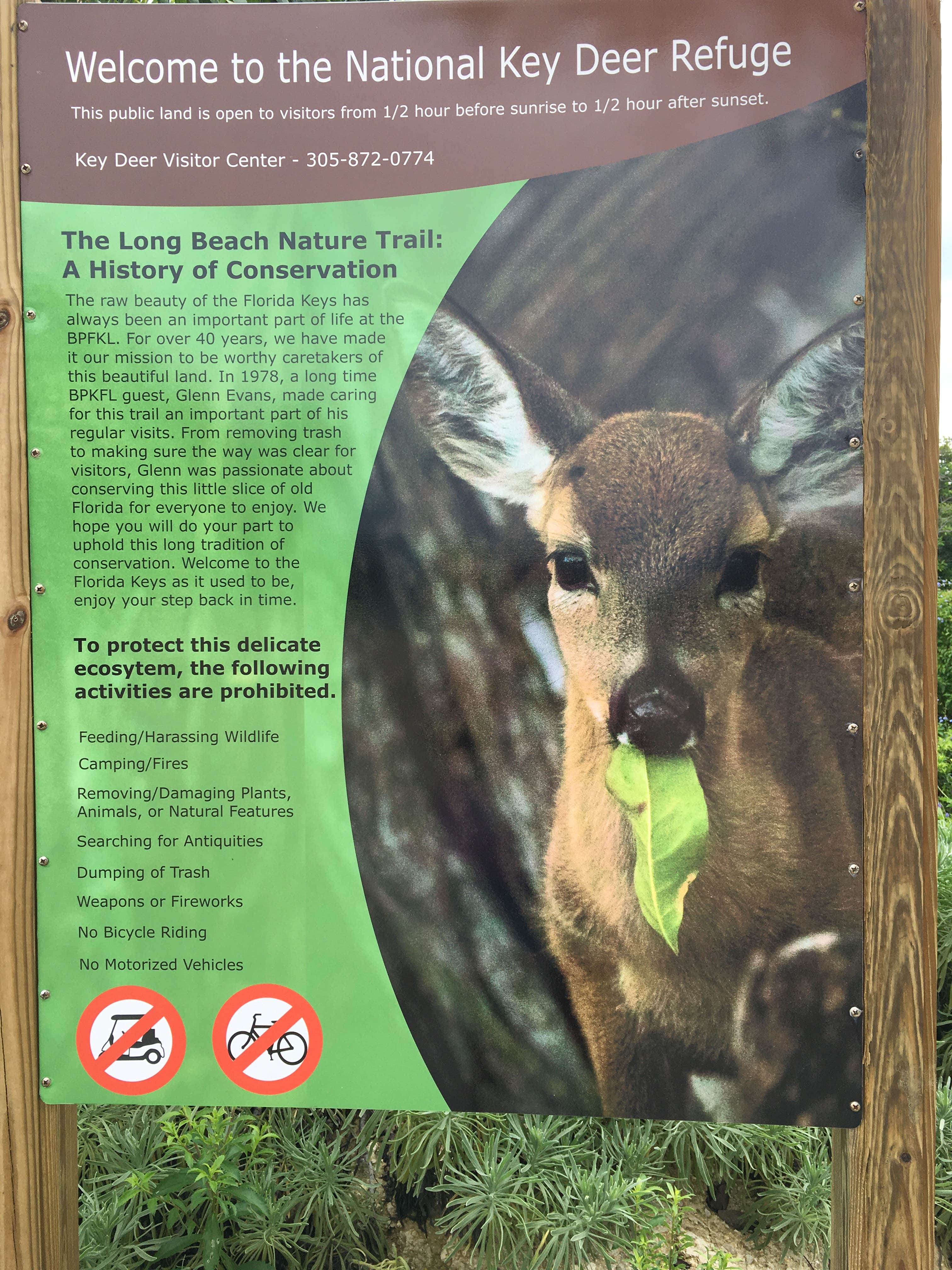 B M.'s photo of camping with pets at Big Pine Key RV Park near Islamorada, Village of Islands, FL