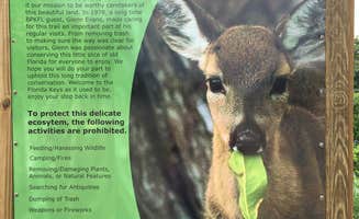 B M.'s photo of camping with pets at Big Pine Key RV Park near Islamorada, Village of Islands, FL