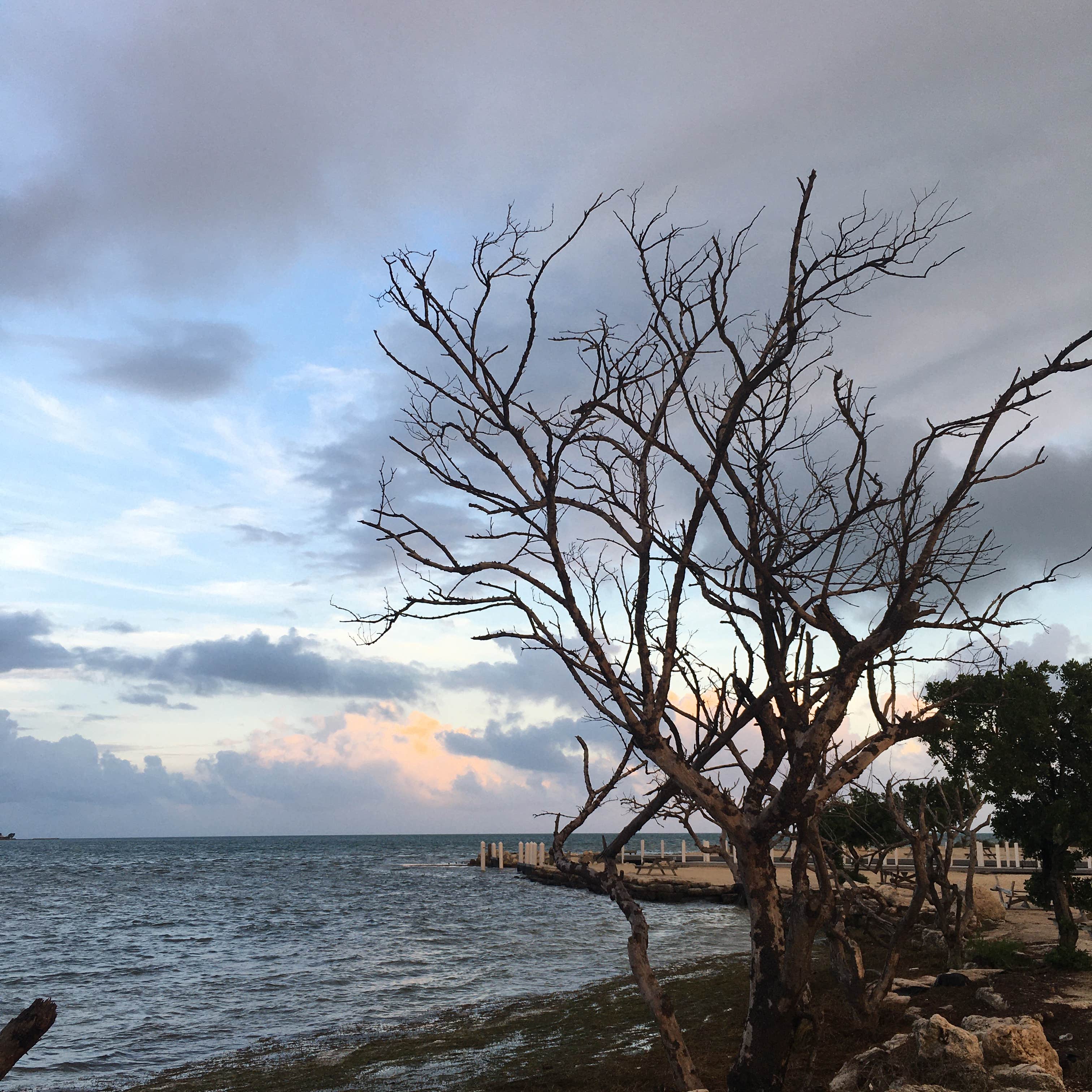 Big Pine Key Fishing Lodge Camping The Dyrt