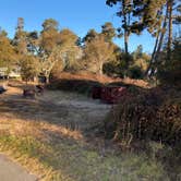 Review photo of New Brighton State Beach Campground by Karen , November 12, 2020