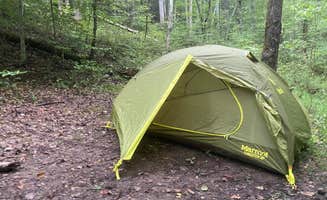 Chelsea's photo at Big Ridge State Park Campground near Clinton, TN