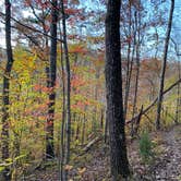 Review photo of Big Ridge State Park Campground by Chelsea , November 12, 2020