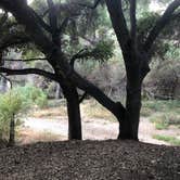 Review photo of Malibu Creek State Park Campground by Jean , November 12, 2020