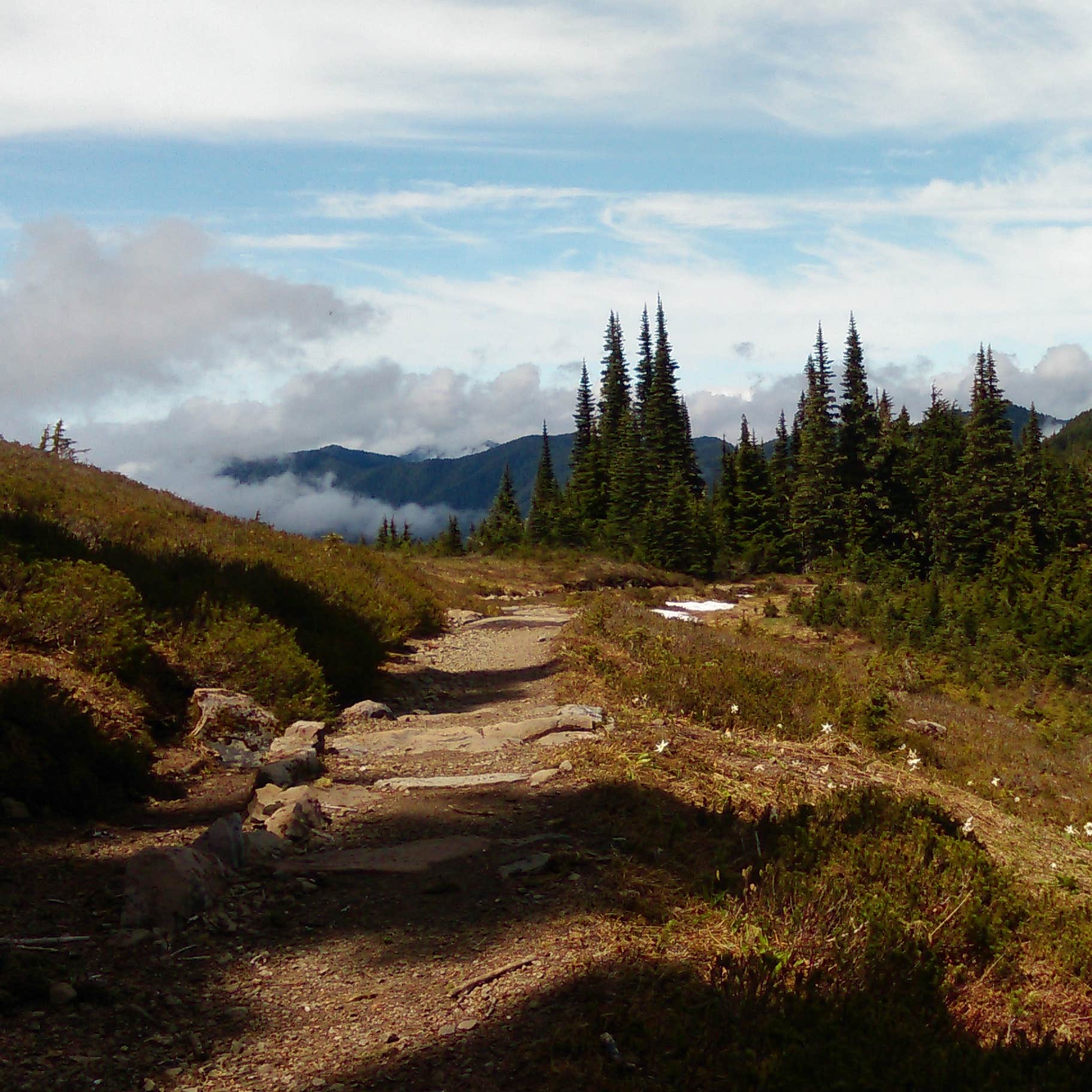 Lunch Lake Camping The Dyrt