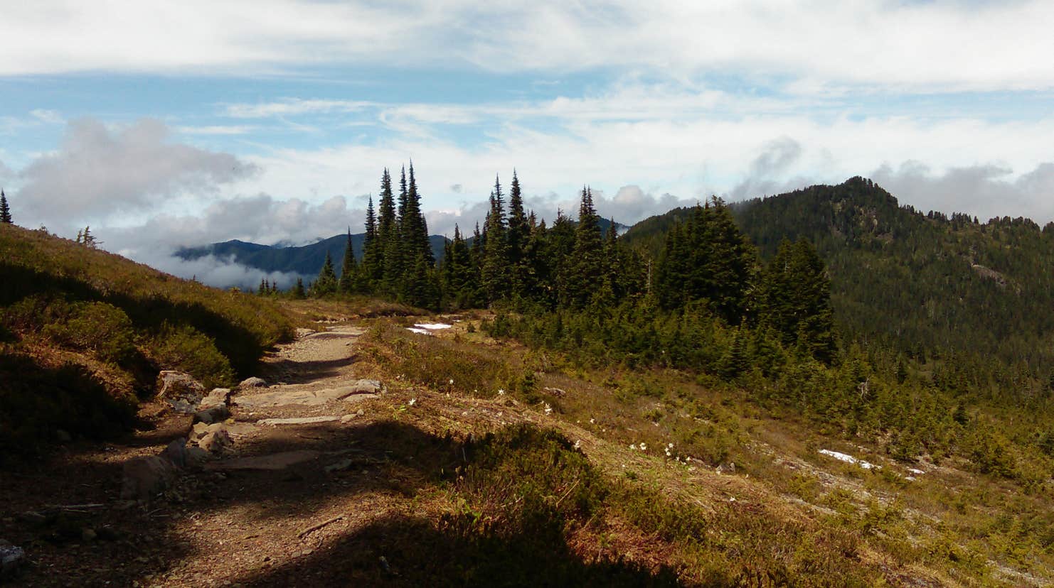 Lunch Lake Camping The Dyrt
