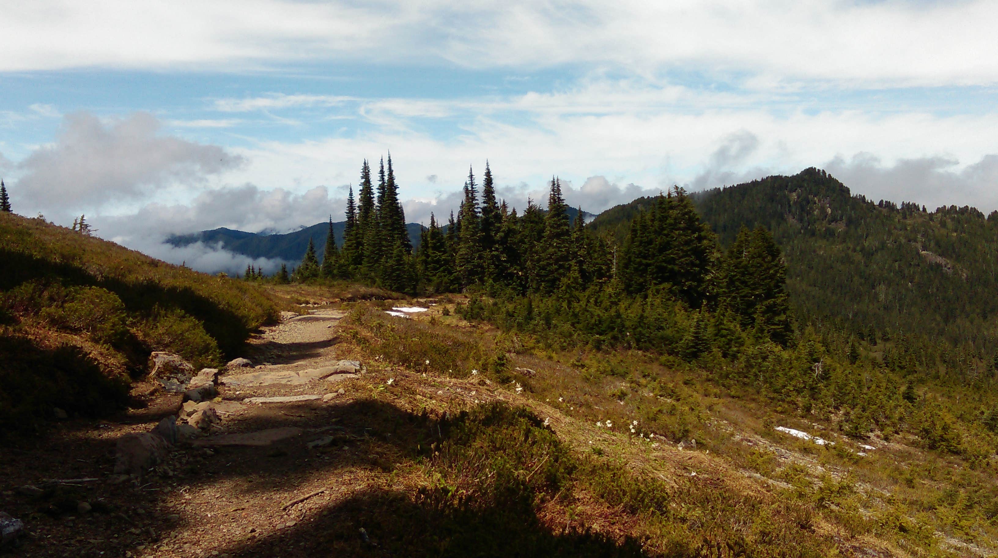 Camper submitted image from Lunch Lake — Olympic National Park - 5