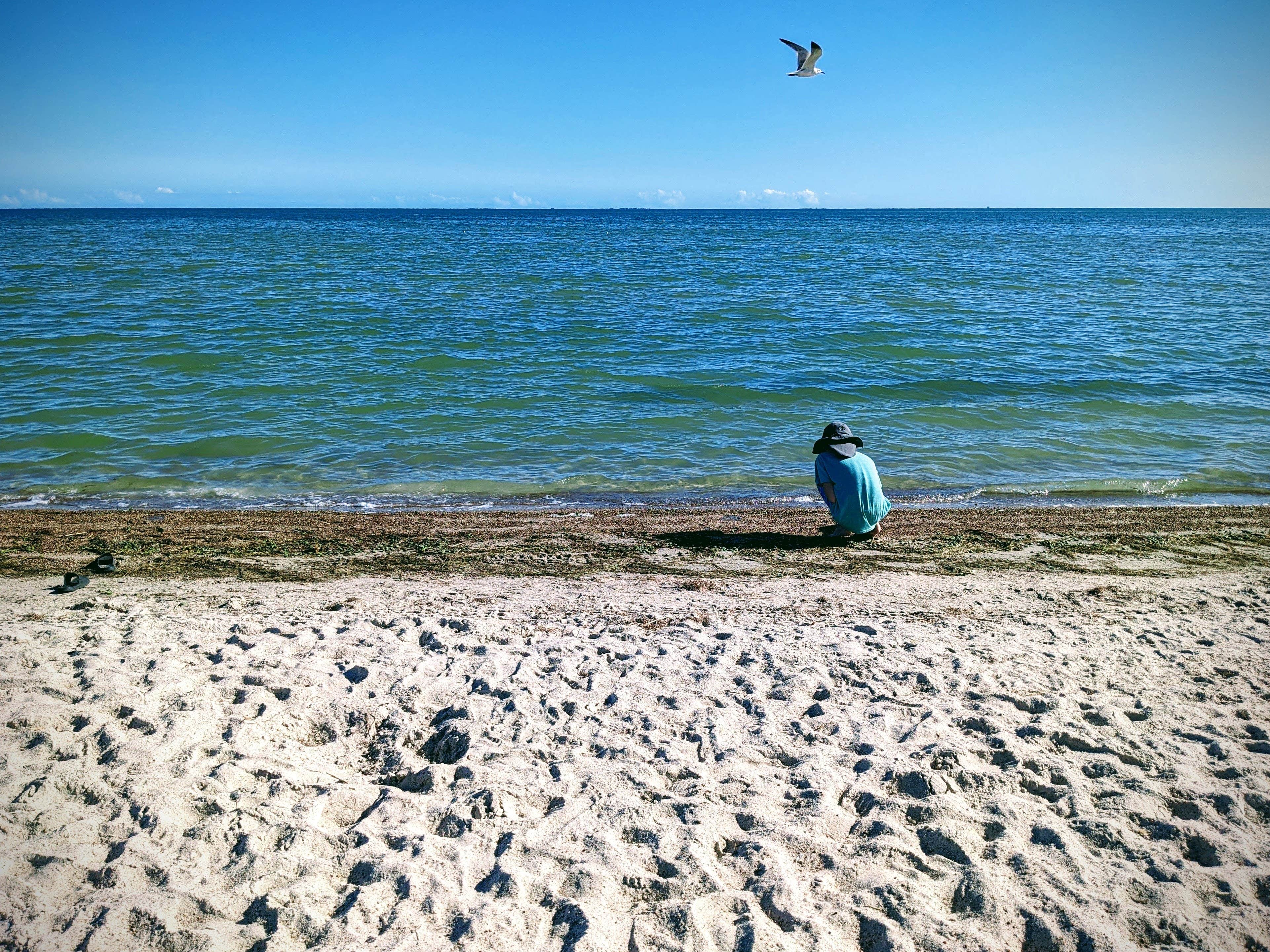 Camping near Woody Acres Mobile Home and RV Resort: Taylor Oaks RV Park, Rockport, Texas