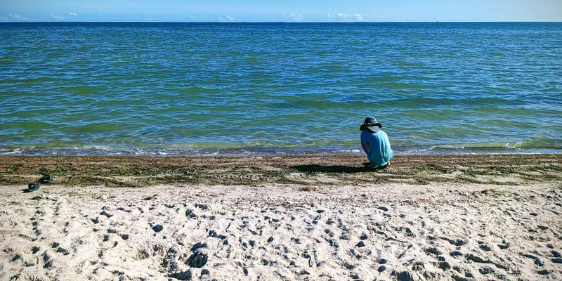 Camper submitted image from Taylor Oaks RV Park