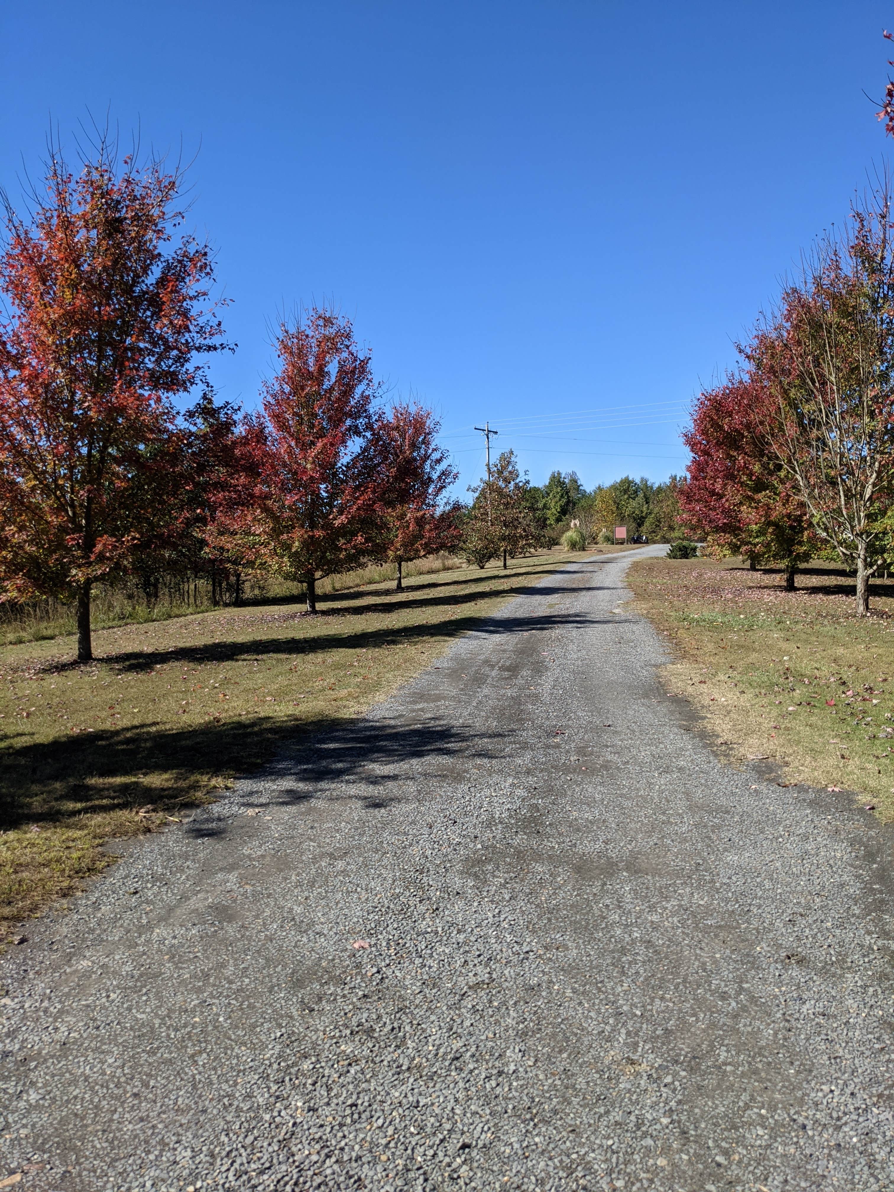 Camper submitted image from Cossatot River RV Park - 2