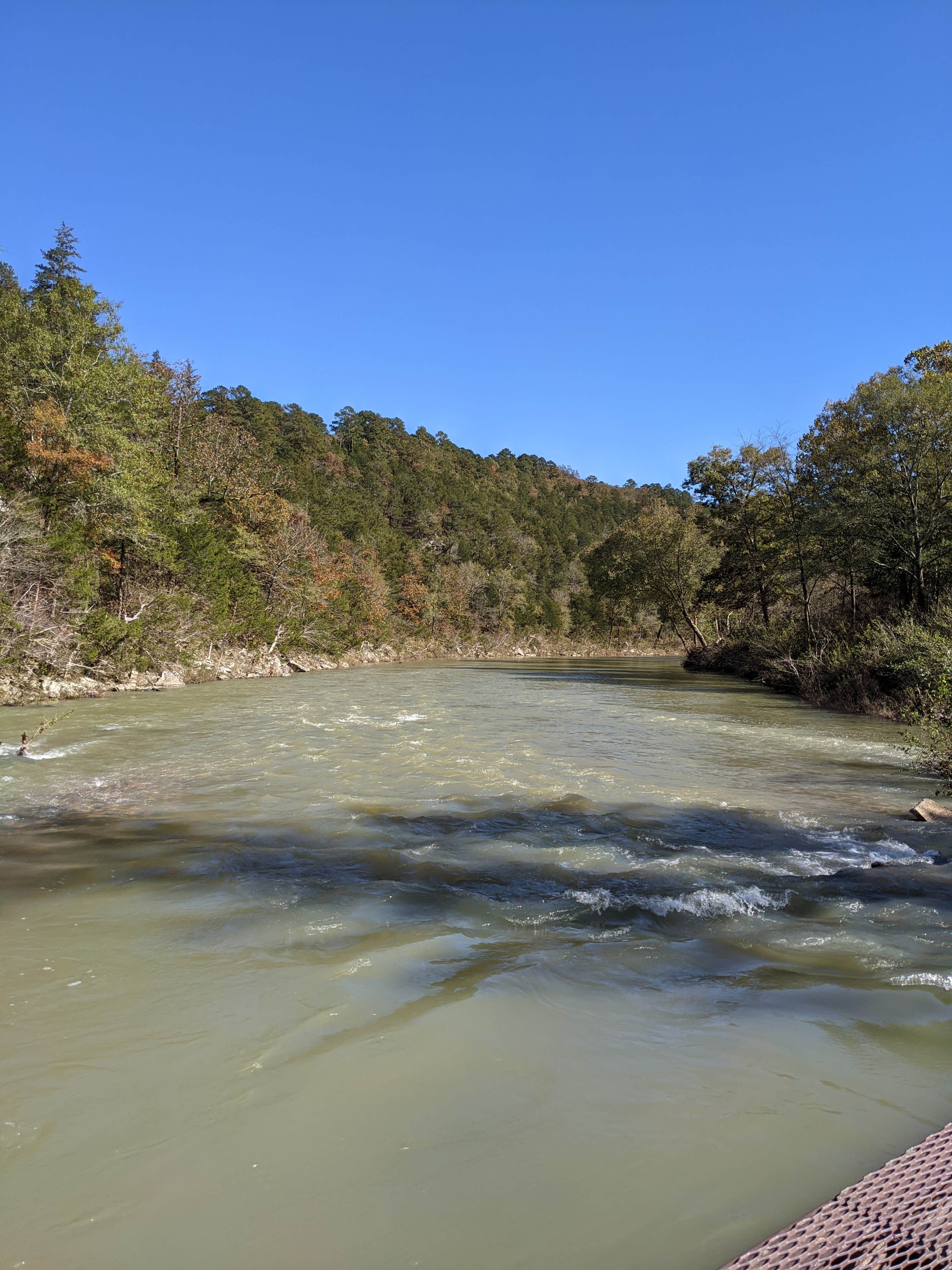 Camper-submitted photo at Cossatot River RV Park near Gillham Lake