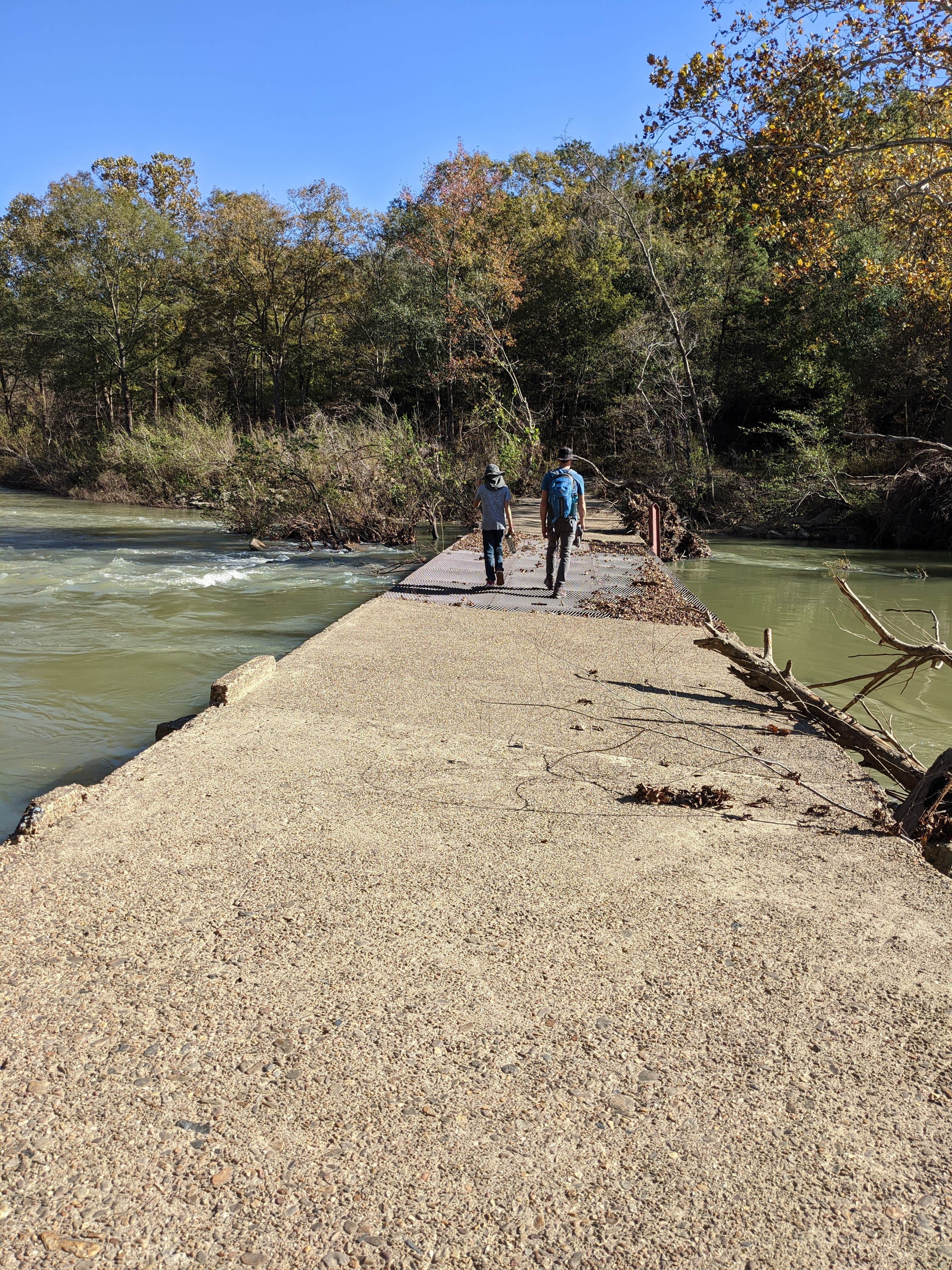 Camper submitted image from Cossatot River RV Park - 3