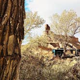 Review photo of Swasey's Beach Campground — Desolation Canyon by The Free Birds RV R., November 12, 2020