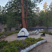 Review photo of North Campground — Bryce Canyon National Park by Stacy C., November 12, 2020