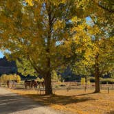 Review photo of Bryce Zion Campground by Drew S., November 12, 2020