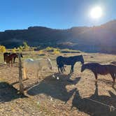 Review photo of Bryce Zion Campground by Drew S., November 12, 2020