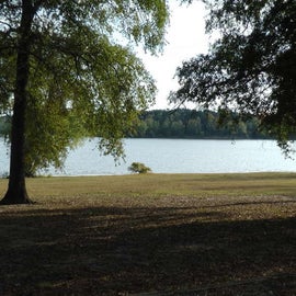 View of lake from site B 6