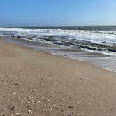 Review photo of Edisto Beach State Park Campground by Doreen B., November 12, 2020