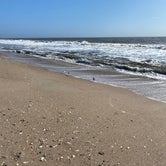 Review photo of Edisto Beach State Park Campground by Doreen B., November 12, 2020