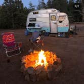 Review photo of Tonto National Forest Dispersed Camping at Lake Roosevelt by Ariel & John  W., November 12, 2020