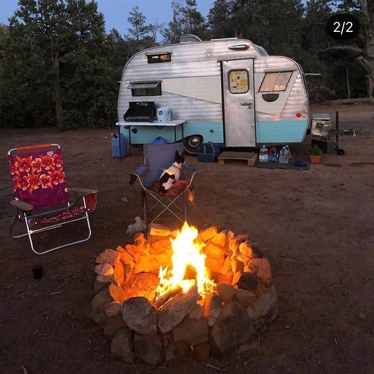 Camper submitted image from Tonto National Forest Dispersed Camping at Lake Roosevelt - 3