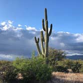 Review photo of Tonto National Forest Dispersed Camping at Lake Roosevelt by Ariel & John  W., November 12, 2020