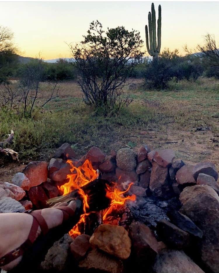 Camper submitted image from Tonto National Forest Dispersed Camping at Lake Roosevelt - 5