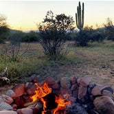 Review photo of Tonto National Forest Dispersed Camping at Lake Roosevelt by Ariel & John  W., November 12, 2020