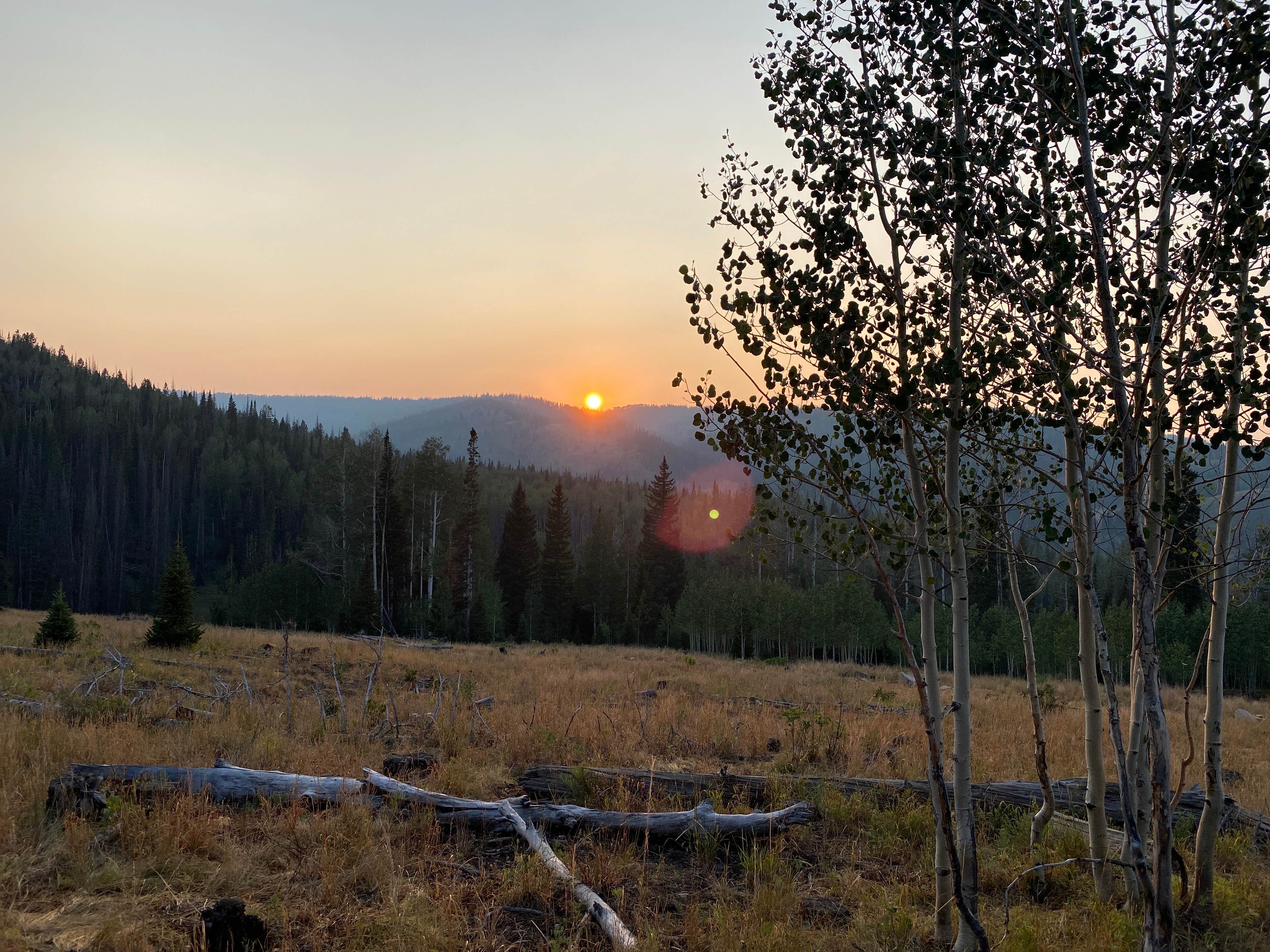 Wolf Creek (Ut) The Dyrt