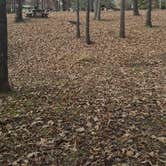 Review photo of Cherokee Landing State Park Campground by Donna H., November 12, 2020