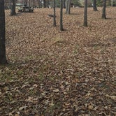 Review photo of Cherokee Landing State Park Campground by Donna H., November 12, 2020