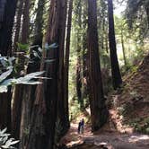 Review photo of Pfeiffer Big Sur State Park Campground by Clark B., May 23, 2018