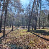 Review photo of Pulaski County Park by Shelly S., November 12, 2020