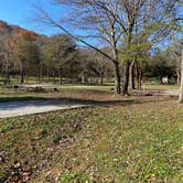 Review photo of Pulaski County Park by Shelly S., November 12, 2020