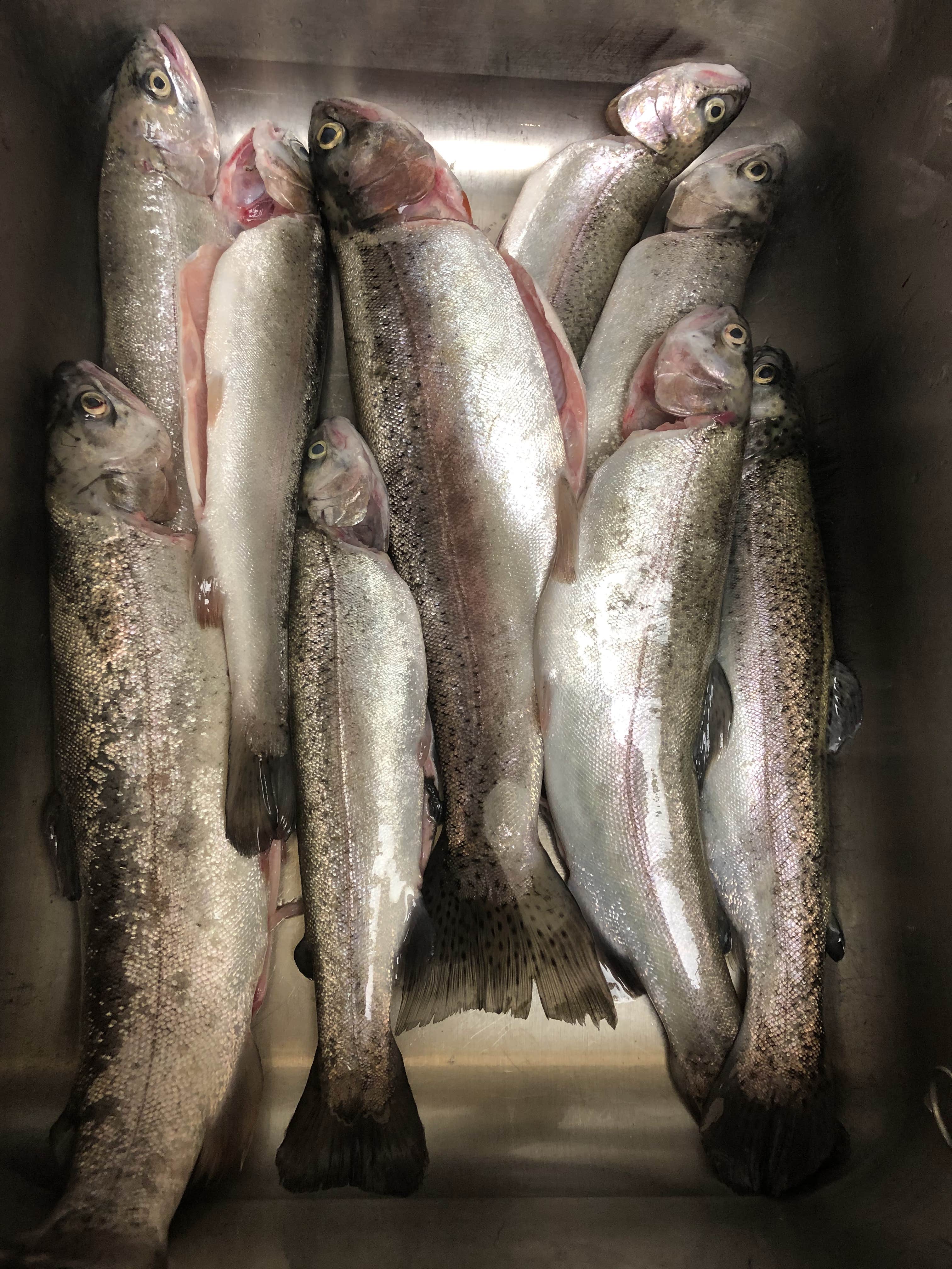 Camper-submitted photo at Payson Lakes near Fairview, UT