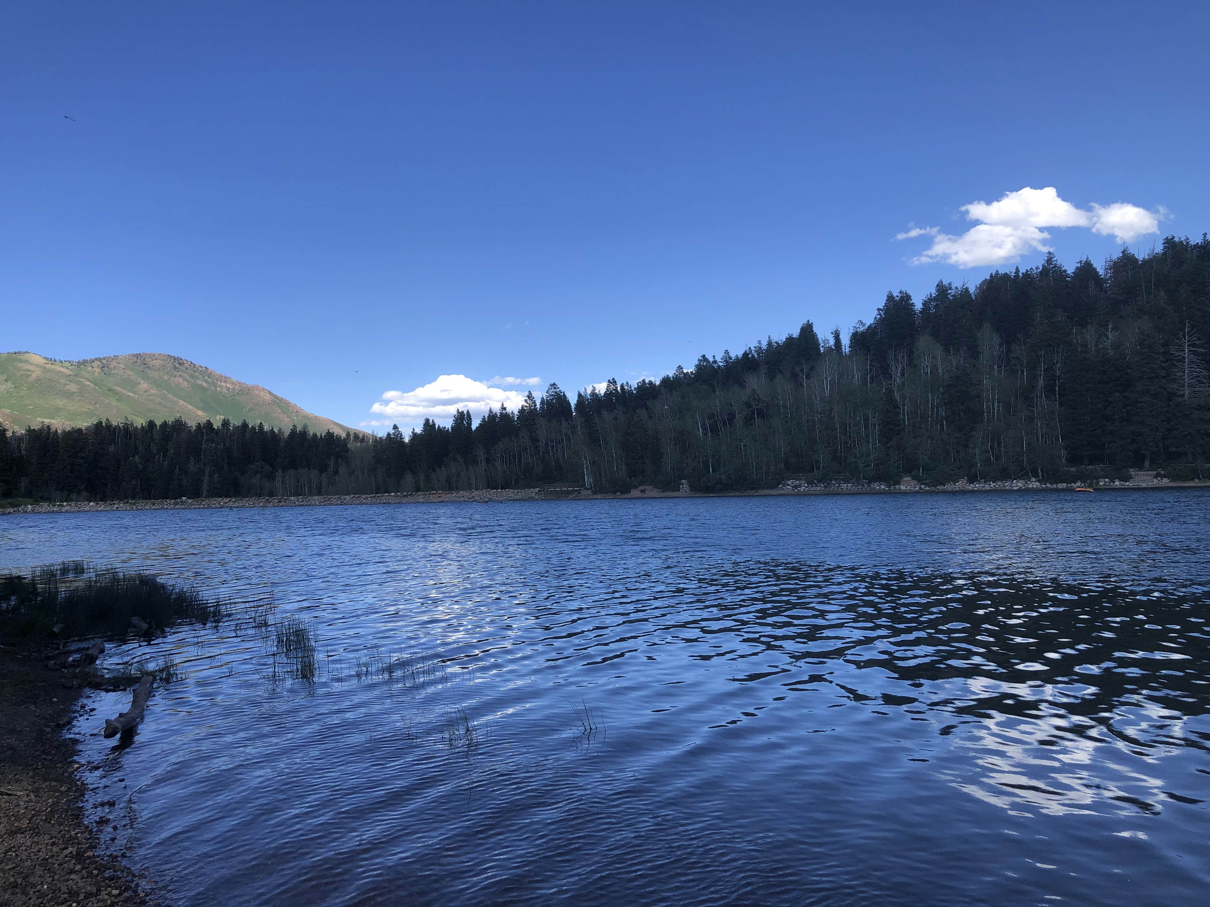 Camper-submitted photo at Payson Lakes near Fairview, UT