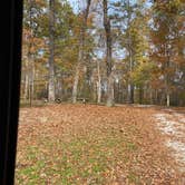 Review photo of Little Lick Campground by Shelly S., November 12, 2020